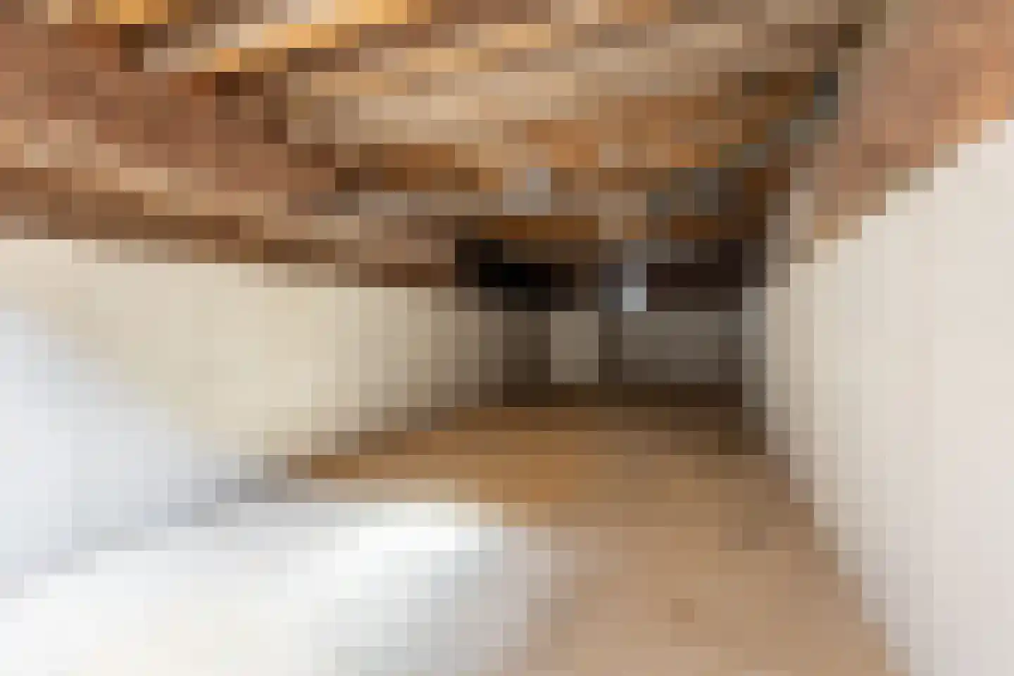 Zegwaardstraat 3 Rotterdam thumbnail 18