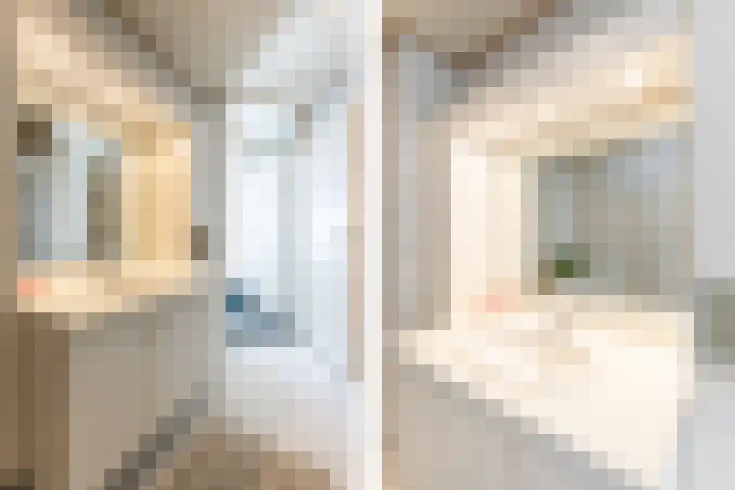 Zegwaardstraat 3 Rotterdam thumbnail 20