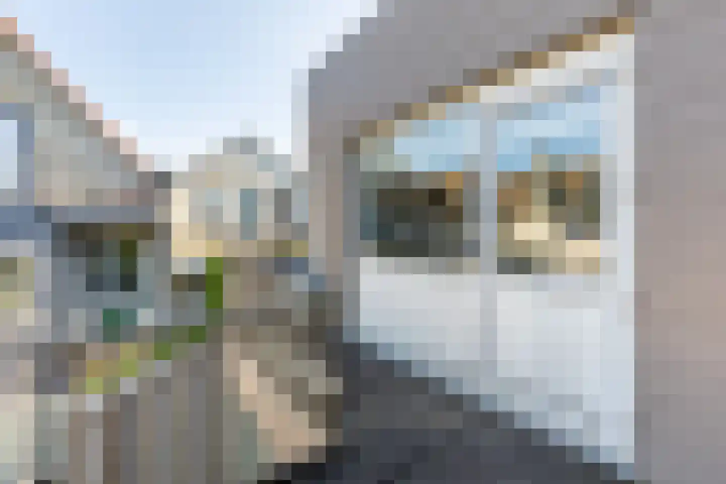 Zegwaardstraat 3 Rotterdam thumbnail 34