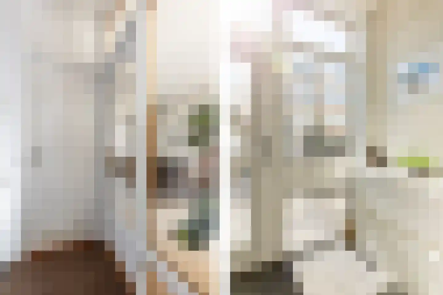 Zegwaardstraat 3 Rotterdam thumbnail 40