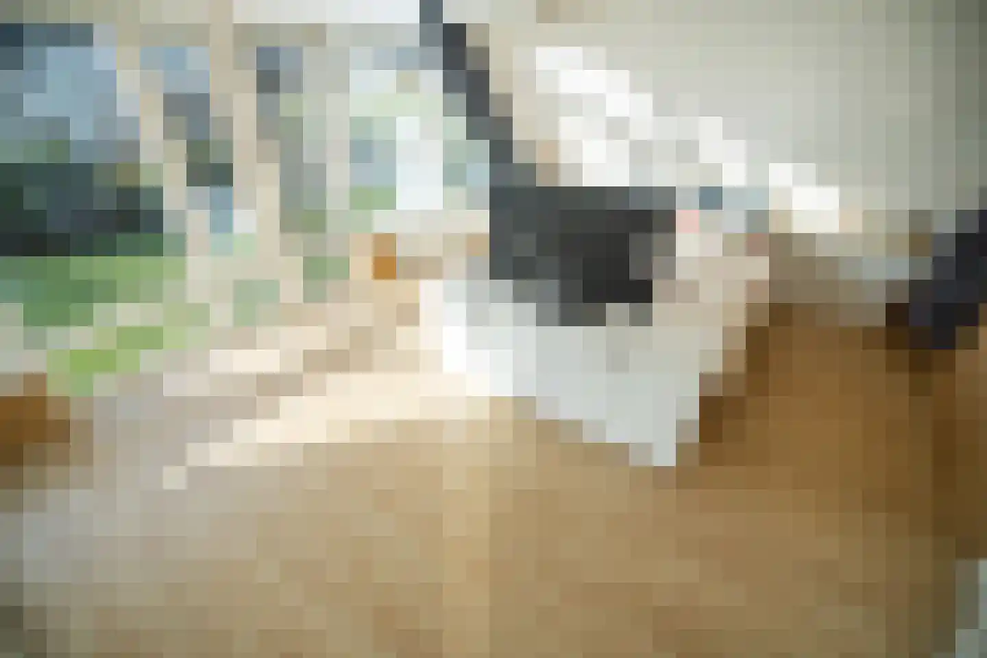 Zegwaartseweg 148 D Zoetermeer thumbnail 75