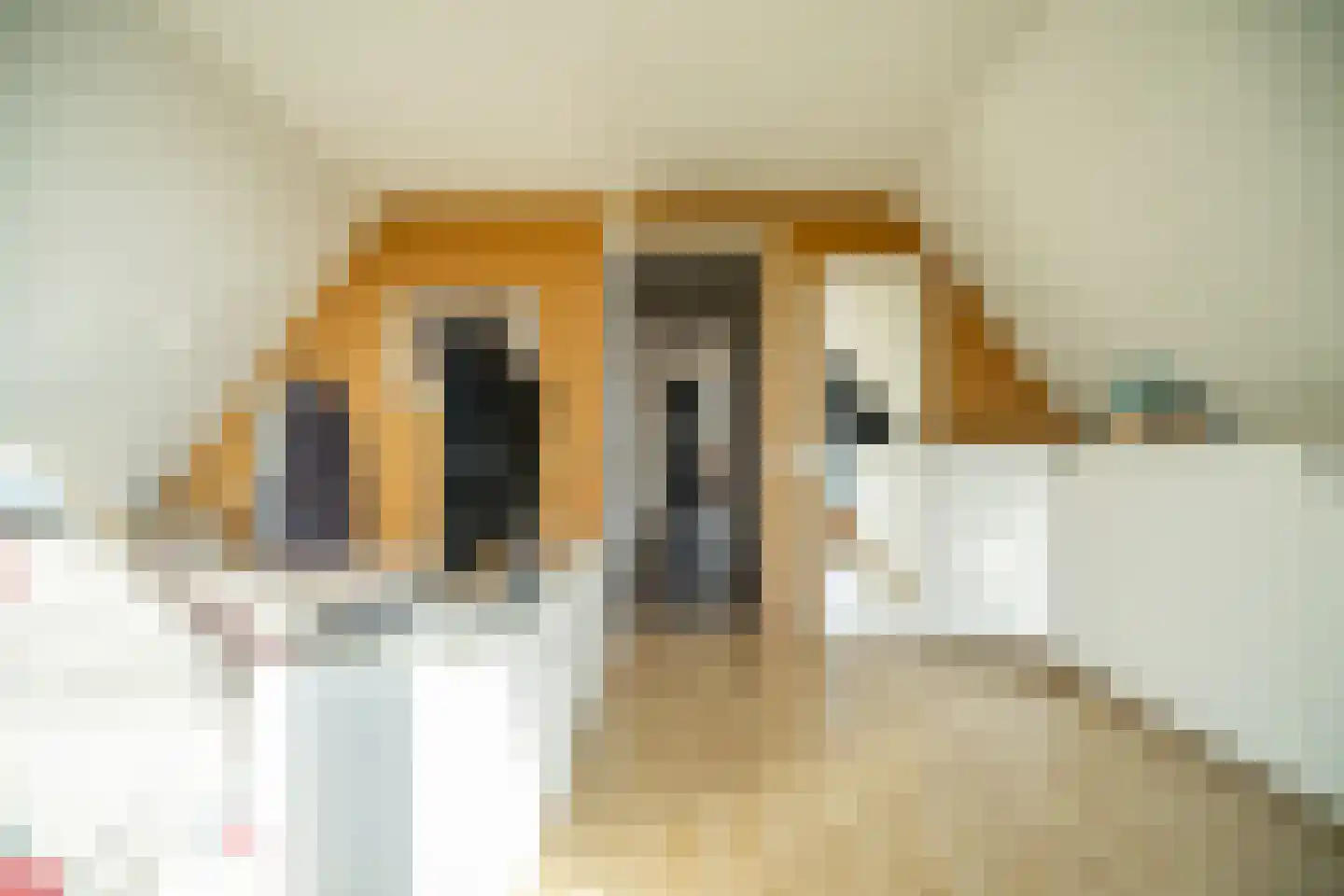 Zegwaartseweg 148 D Zoetermeer thumbnail 77
