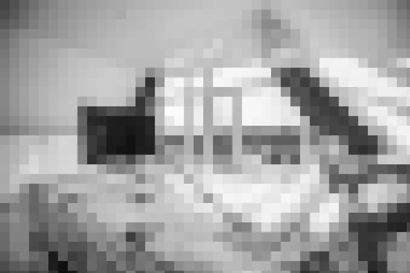 Zegwaartseweg 148 D Zoetermeer thumbnail 80