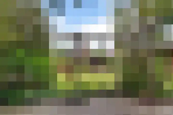 Zegwaartseweg 164 Zoetermeer thumbnail 18