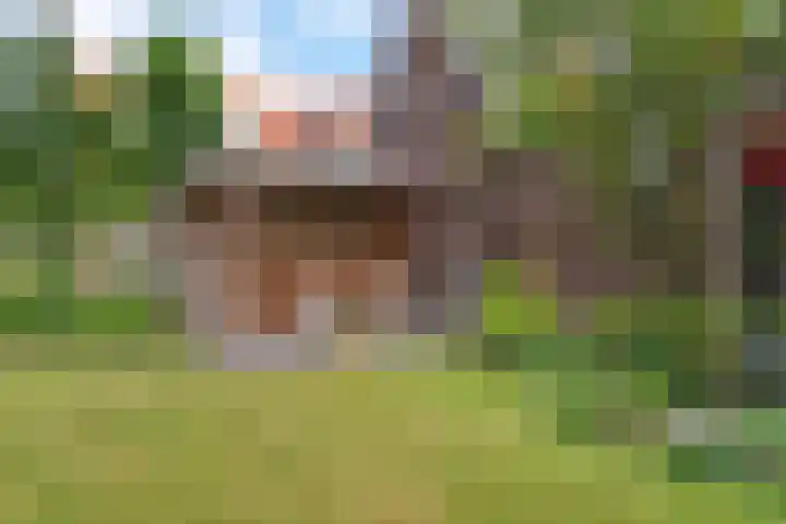 Zegwaartseweg 164 Zoetermeer thumbnail 19