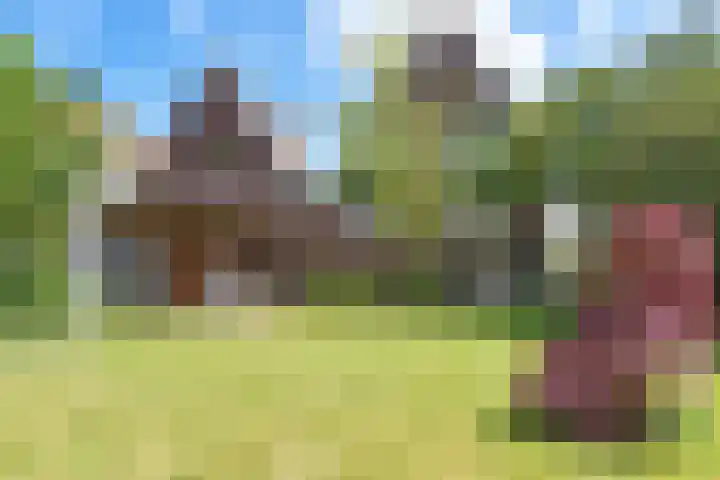 Zegwaartseweg 164 Zoetermeer thumbnail 20