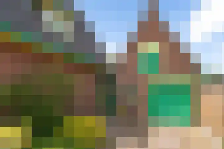Zegwaartseweg 164 Zoetermeer thumbnail 23