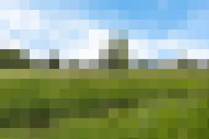 Zegwaartseweg 164 Zoetermeer thumbnail 43