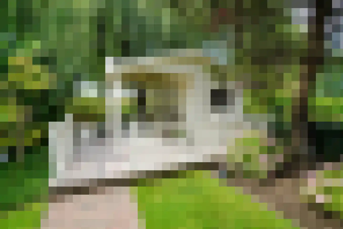 Zegwaartseweg 172 F Zoetermeer thumbnail 113
