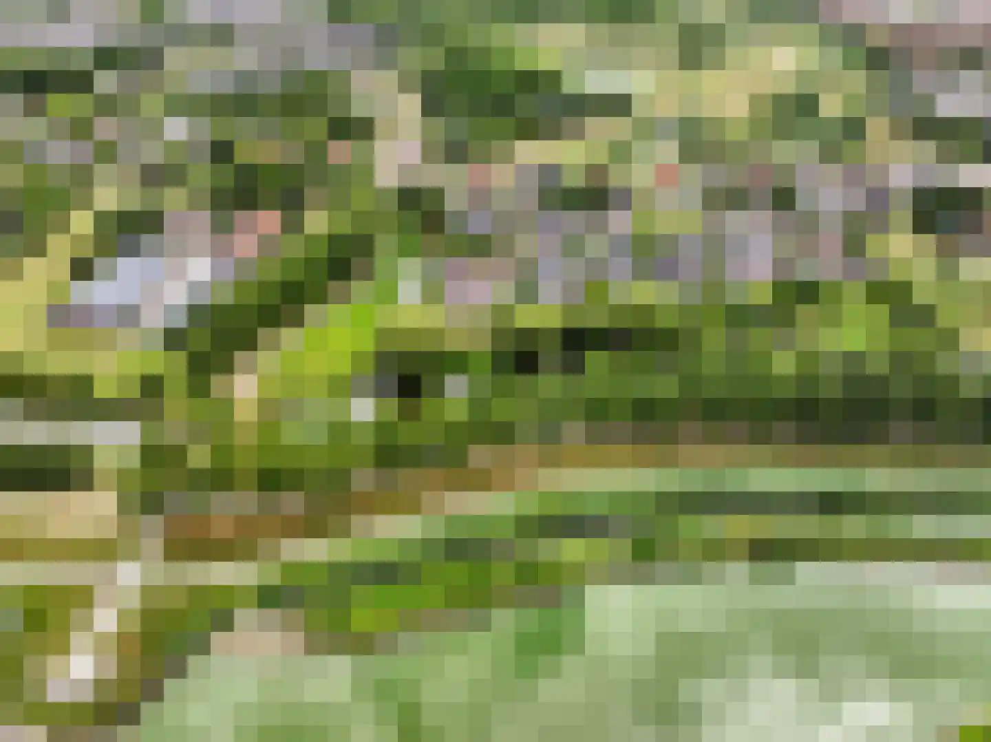Zegwaartseweg 172 F Zoetermeer thumbnail 15