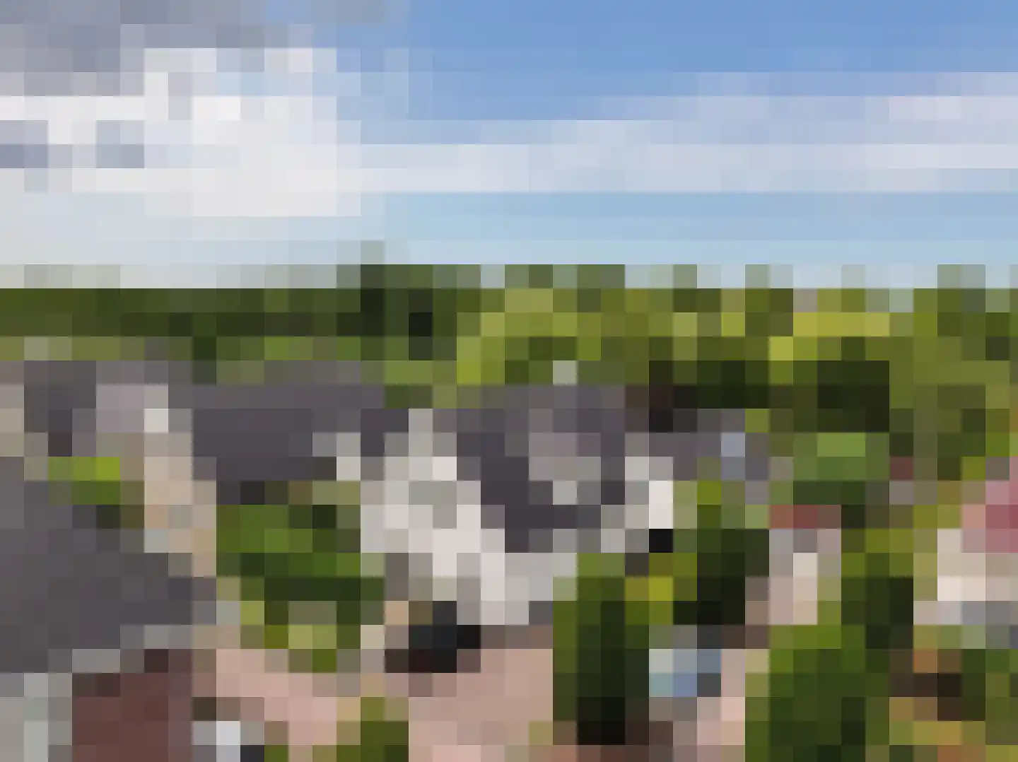 Zegwaartseweg 172 F Zoetermeer thumbnail 17