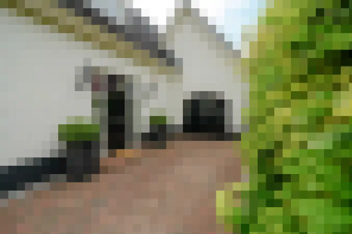 Zegwaartseweg 172 F Zoetermeer thumbnail 19