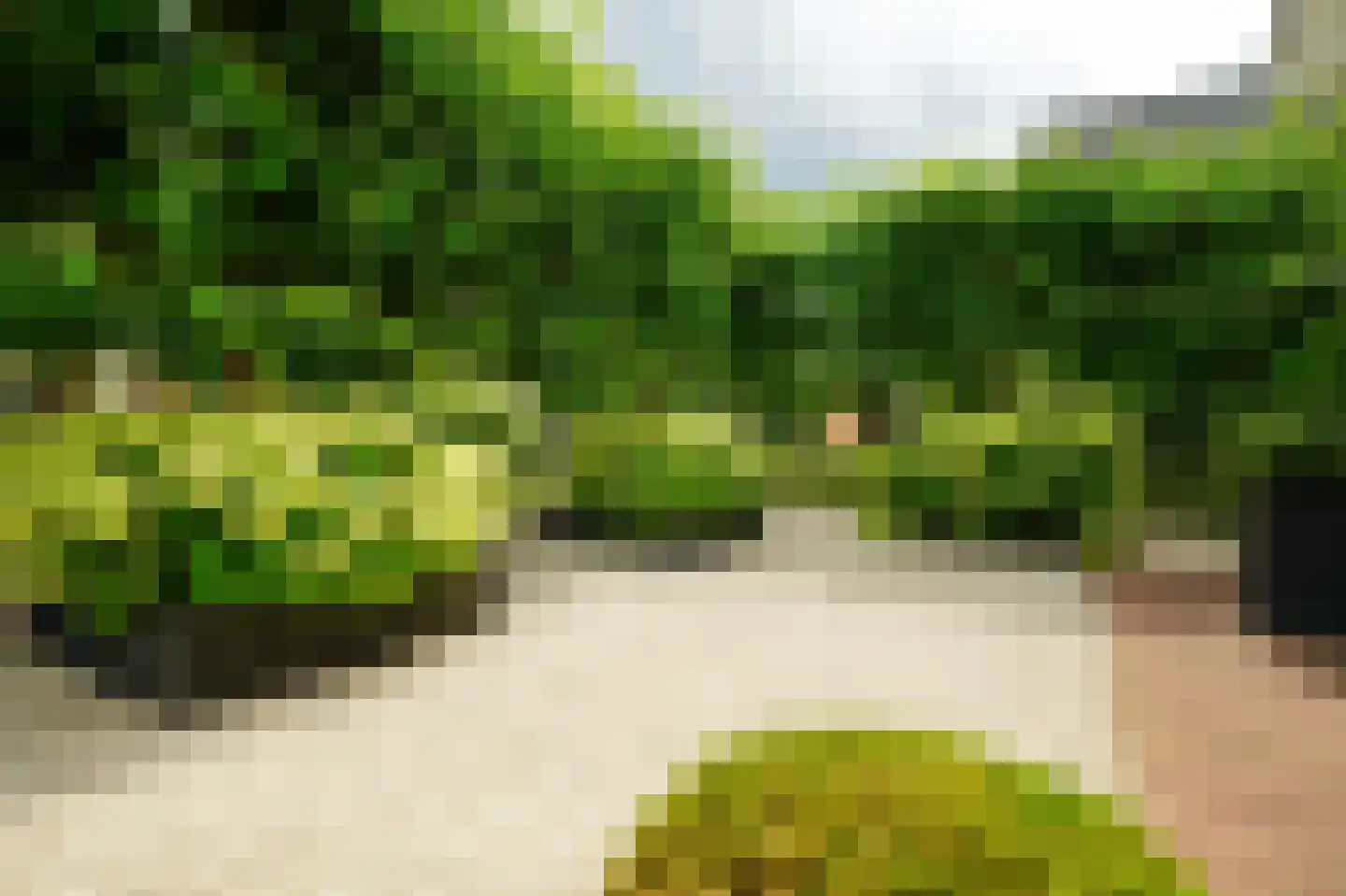 Zegwaartseweg 172 F Zoetermeer thumbnail 22