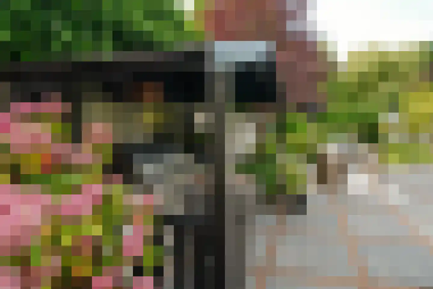 Zegwaartseweg 172 F Zoetermeer thumbnail 47