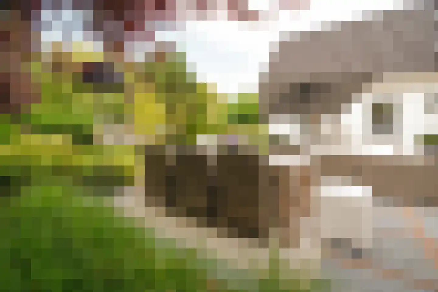 Zegwaartseweg 172 F Zoetermeer thumbnail 52