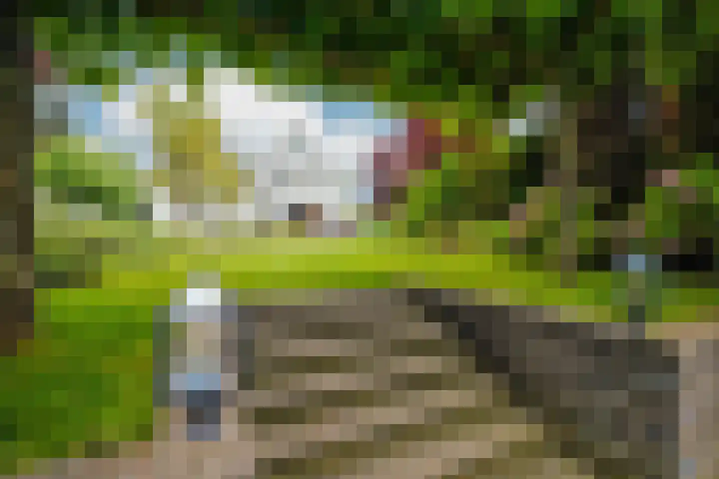 Zegwaartseweg 172 F Zoetermeer thumbnail 64