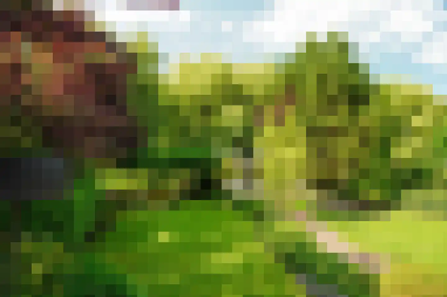 Zegwaartseweg 172 F Zoetermeer thumbnail 65