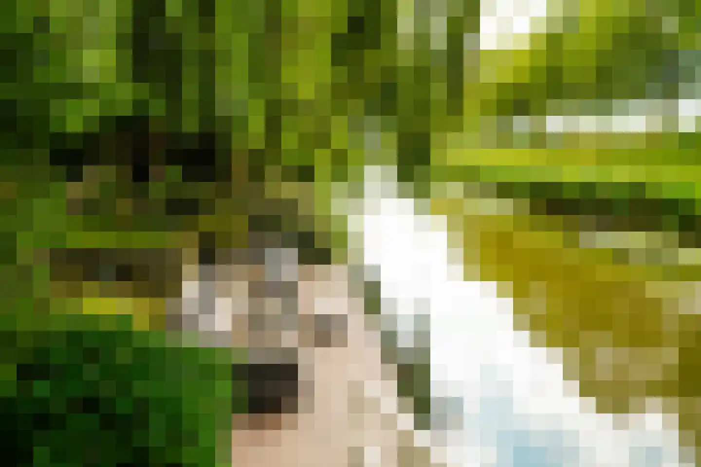Zegwaartseweg 172 F Zoetermeer thumbnail 69