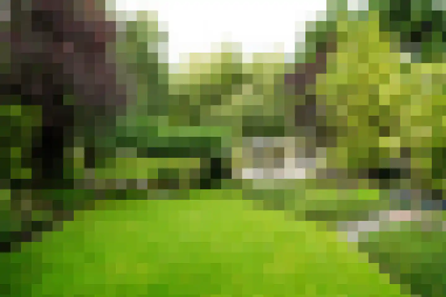 Zegwaartseweg 172 F Zoetermeer thumbnail 73