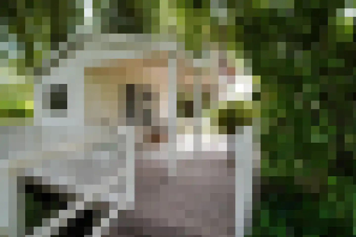 Zegwaartseweg 172 F Zoetermeer thumbnail 76