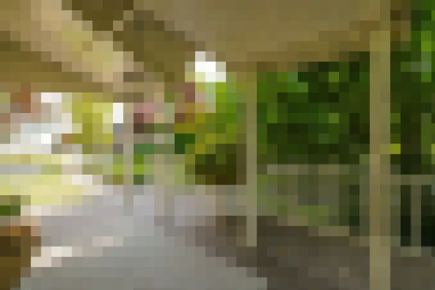 Zegwaartseweg 172 F Zoetermeer thumbnail 88