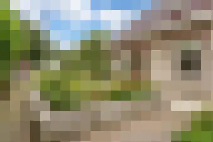 Zegwaartseweg 172 G Zoetermeer thumbnail 23