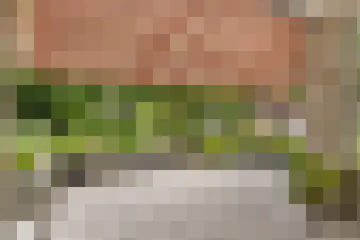 Zegwaartseweg 172 G Zoetermeer thumbnail 26
