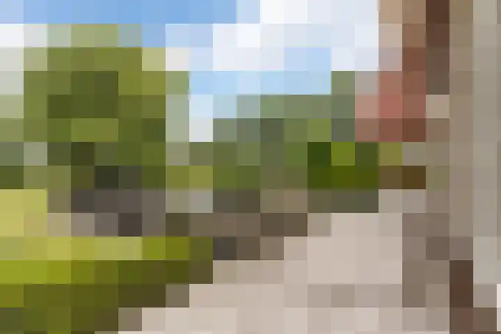 Zegwaartseweg 172 G Zoetermeer thumbnail 27