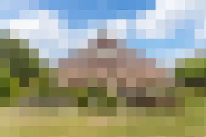 Zegwaartseweg 172 G Zoetermeer thumbnail 33