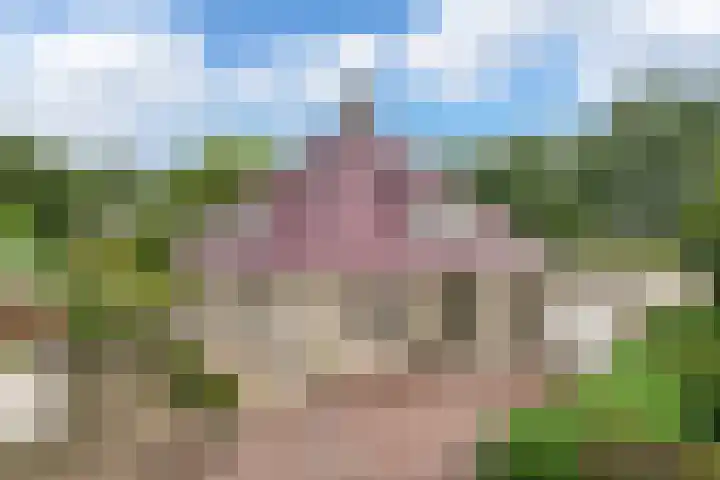 Zegwaartseweg 172 G Zoetermeer thumbnail 4