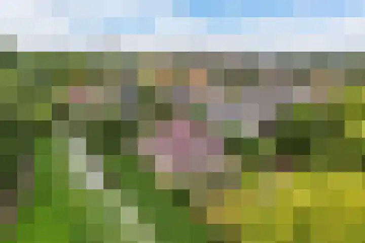 Zegwaartseweg 172 G Zoetermeer thumbnail 68