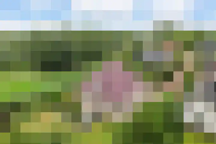 Zegwaartseweg 172 G Zoetermeer thumbnail 70