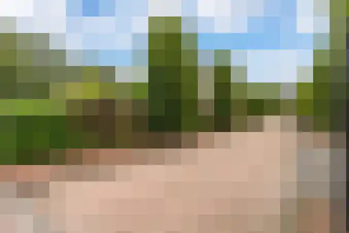 Zegwaartseweg 172 G Zoetermeer thumbnail 71