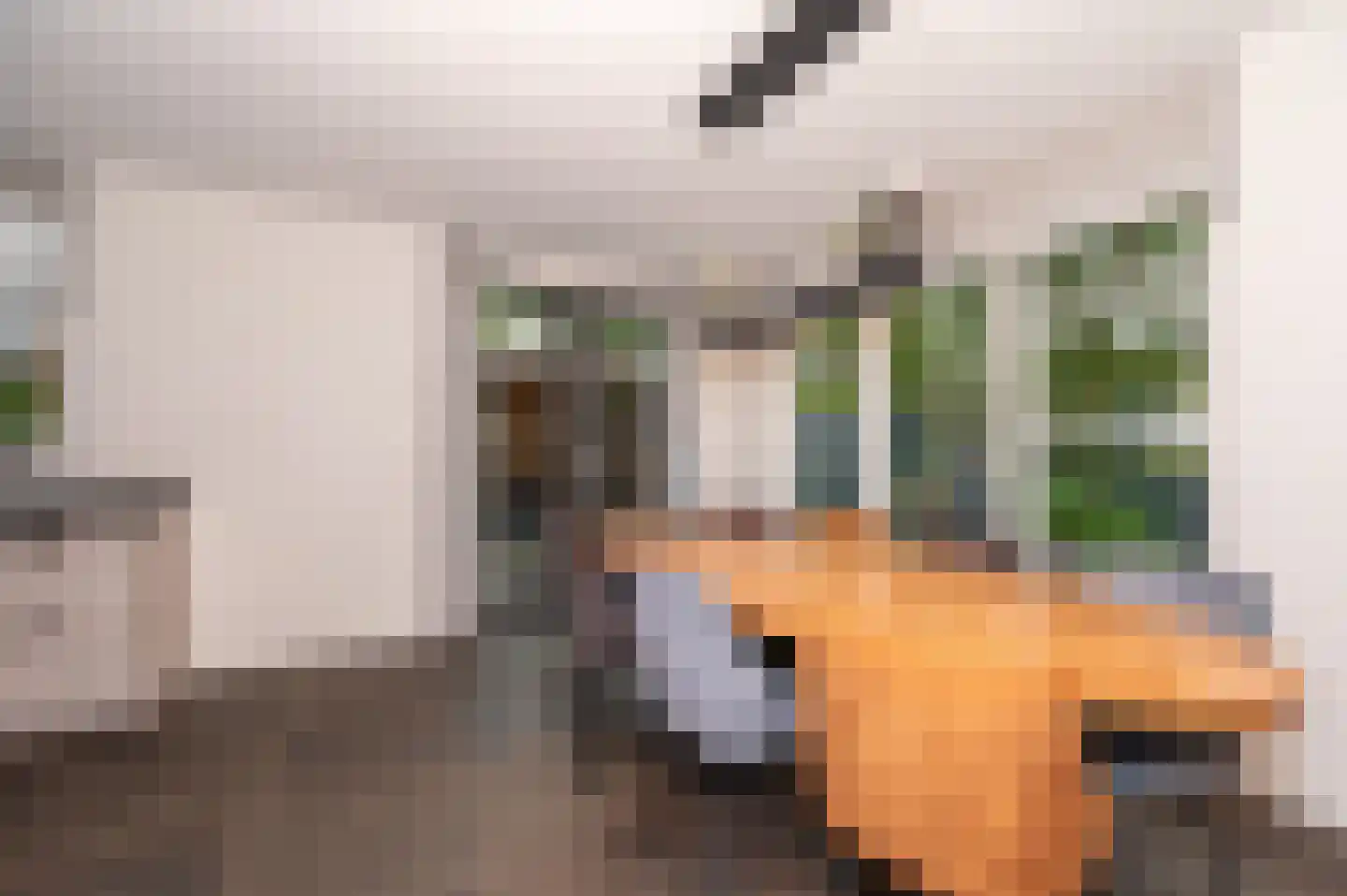 Zegwaartseweg 59 G Zoetermeer thumbnail 12