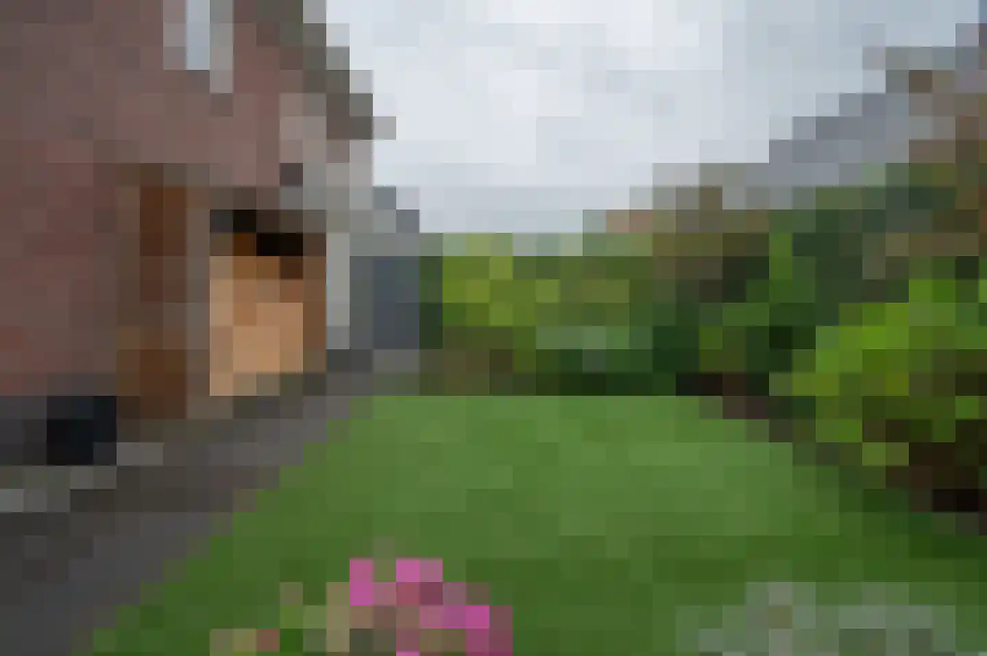 Zegwaartseweg 59 G Zoetermeer thumbnail 46
