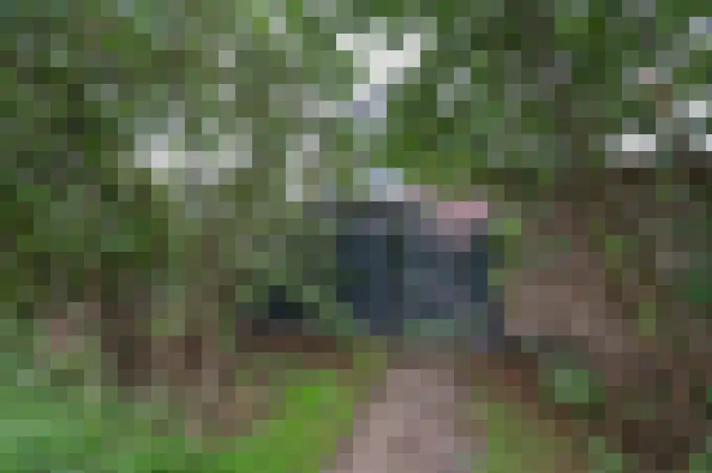 Zegwaartseweg 59 G Zoetermeer thumbnail 58