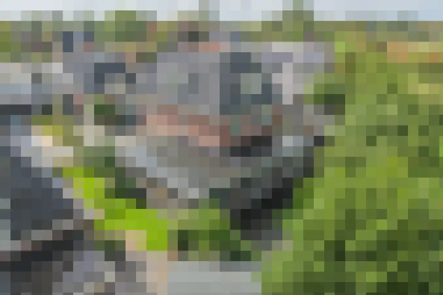 Zegwaartseweg 59 G Zoetermeer thumbnail 60