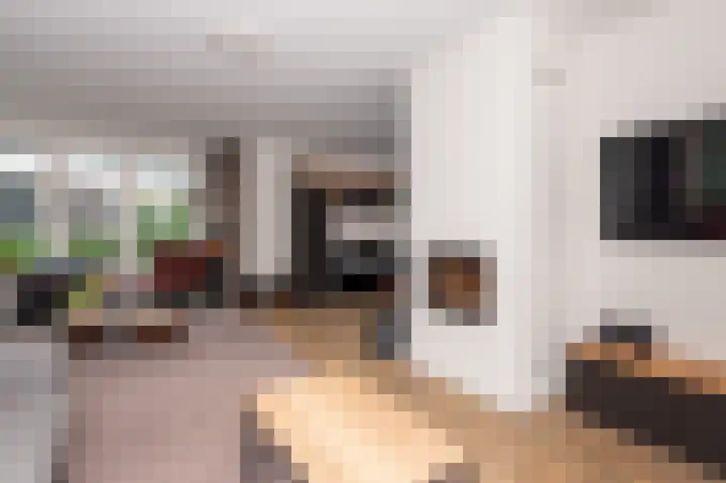 Zegwaartseweg 59 G Zoetermeer thumbnail 7