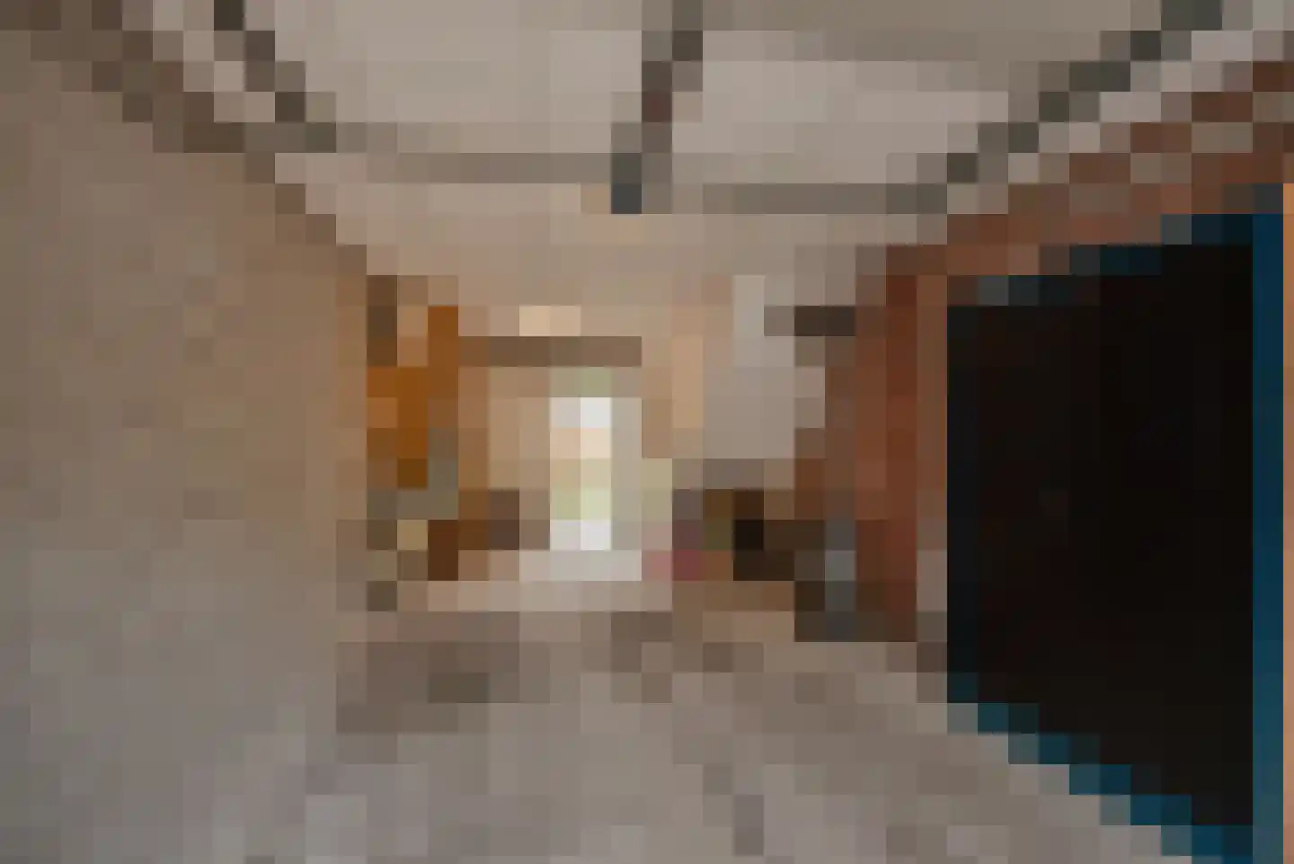 Zegwaartseweg 65 Zoetermeer thumbnail 37