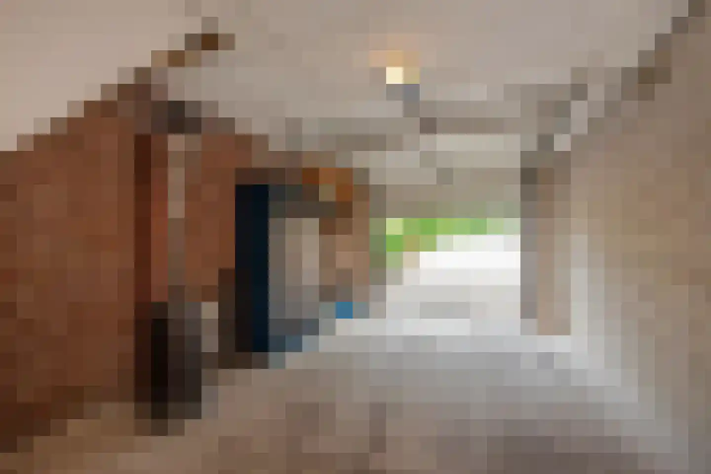 Zegwaartseweg 65 Zoetermeer thumbnail 38