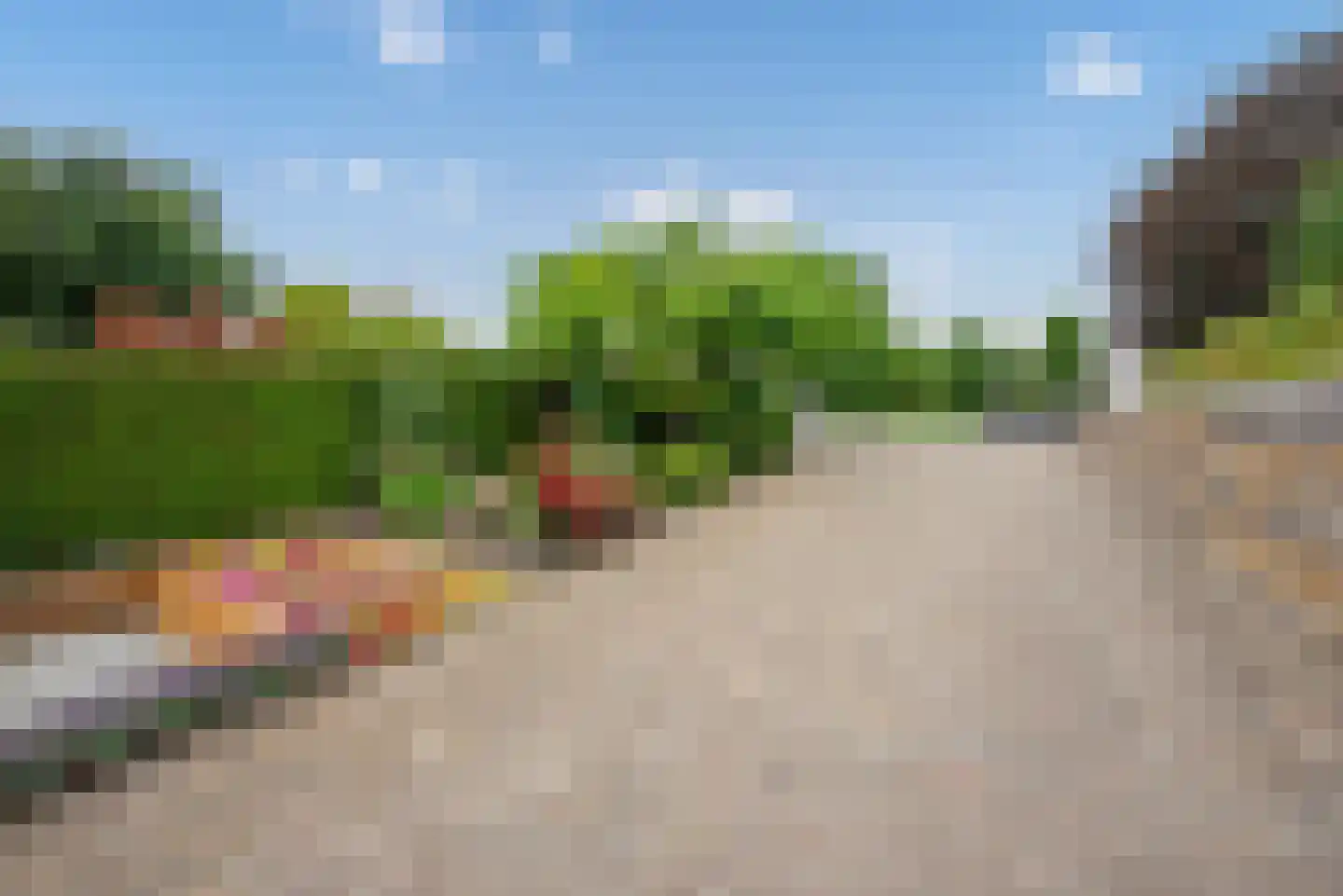 Zegwaartseweg 65 Zoetermeer thumbnail 47