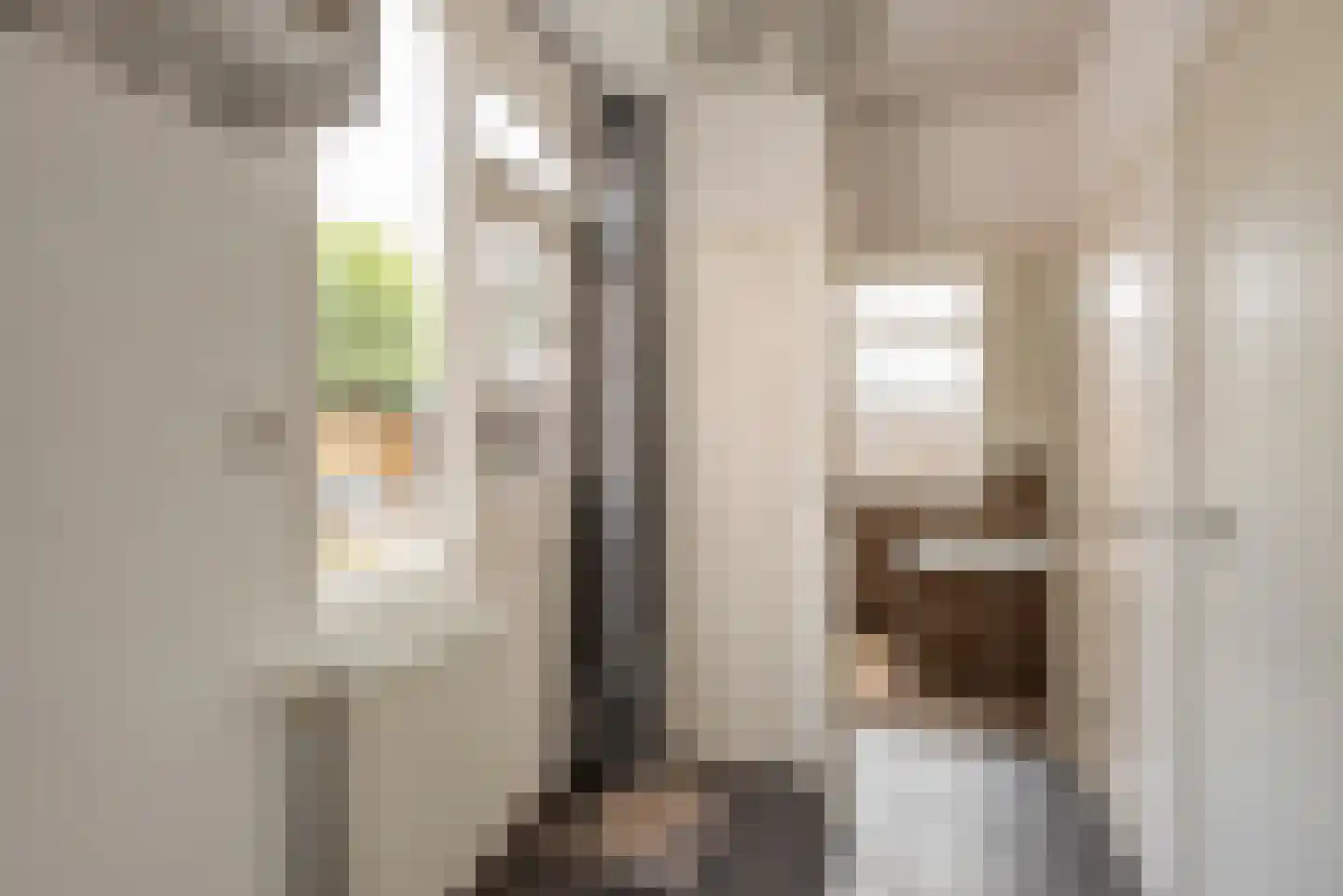 Zegwaartseweg 65 Zoetermeer thumbnail 9
