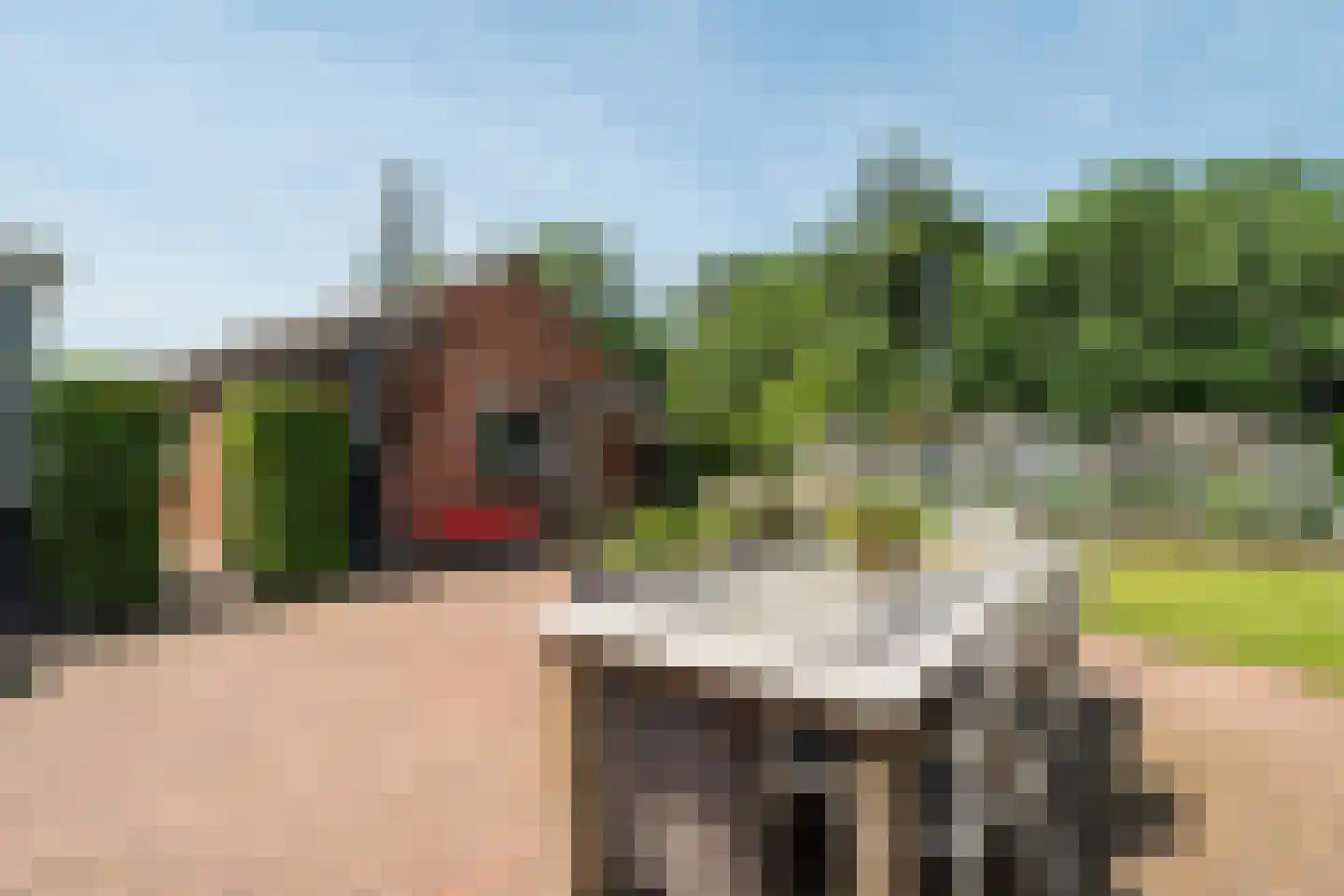 Zegwaartseweg 68 Zoetermeer thumbnail 35