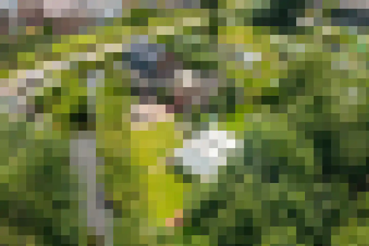 Zegwaartseweg 68 Zoetermeer thumbnail 4