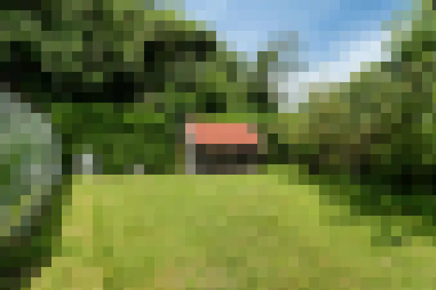 Zegwaartseweg 68 Zoetermeer thumbnail 59