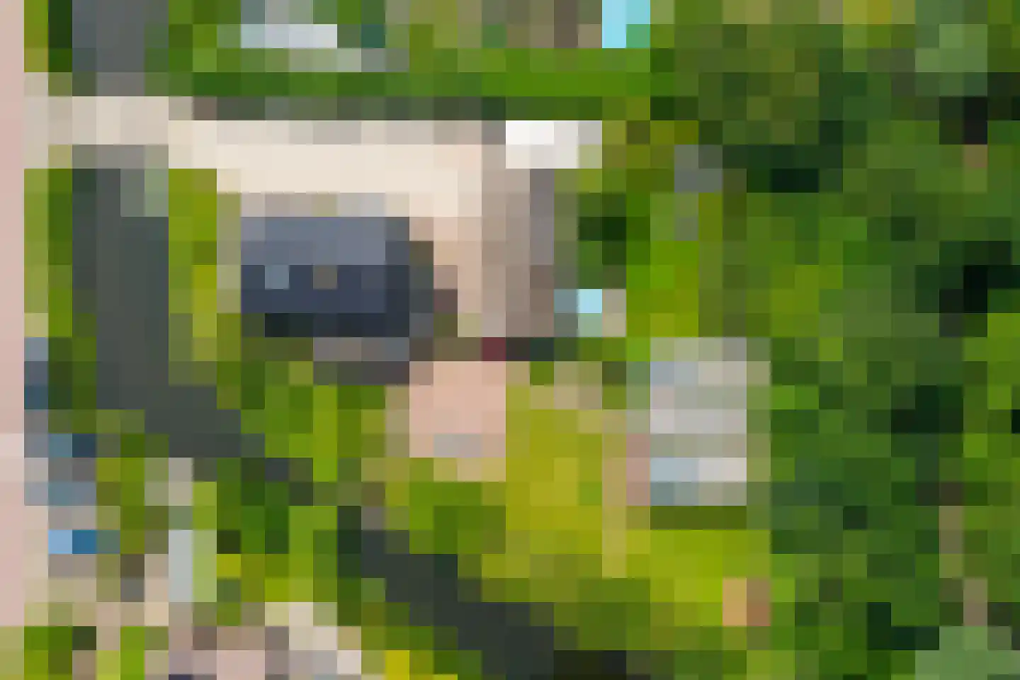 Zegwaartseweg 68 Zoetermeer thumbnail 6