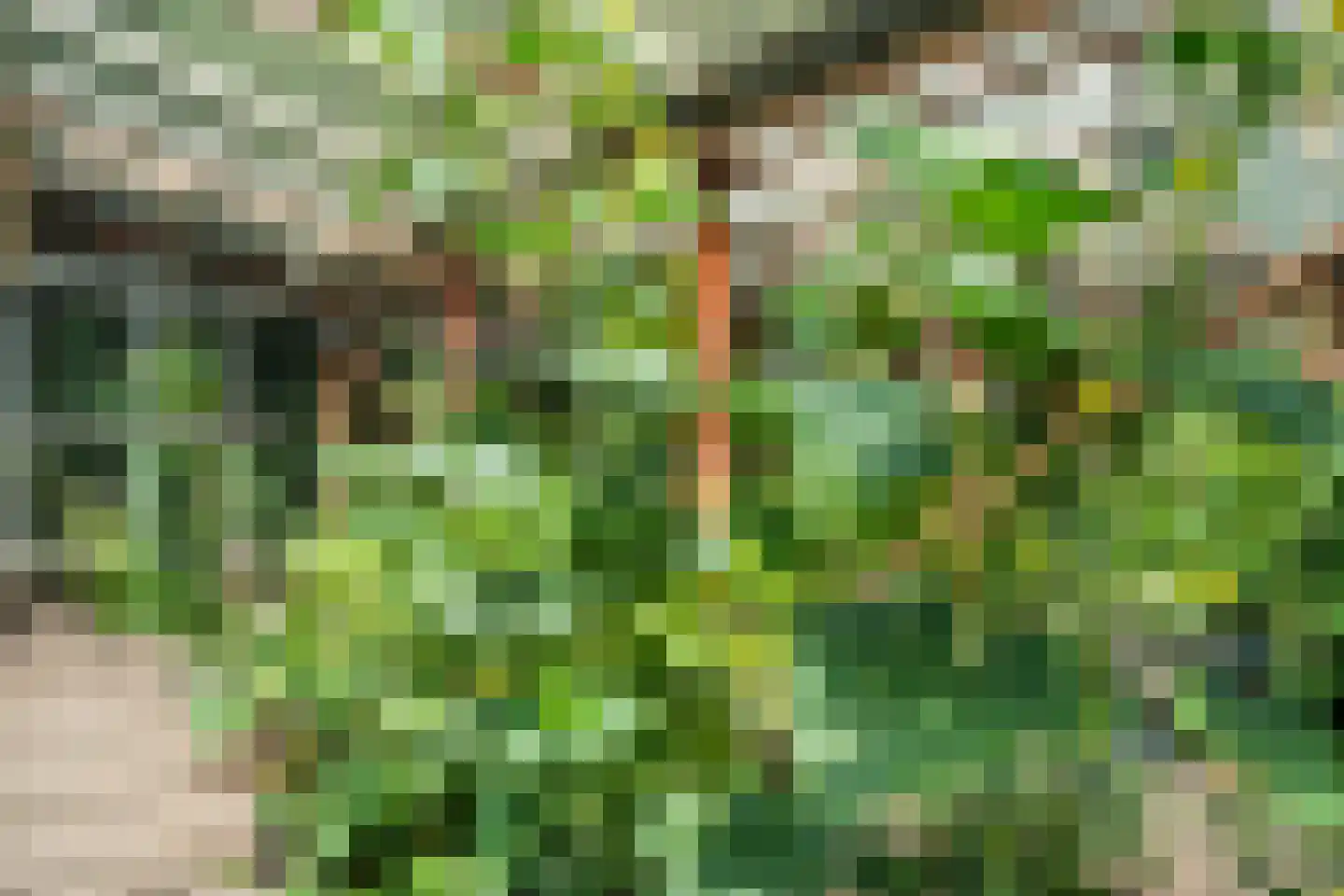 Zegwaartseweg 68 Zoetermeer thumbnail 64