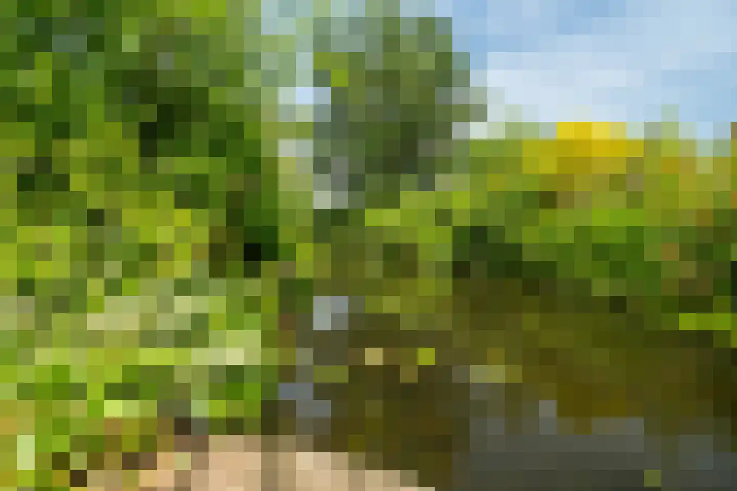 Zegwaartseweg 68 Zoetermeer thumbnail 65