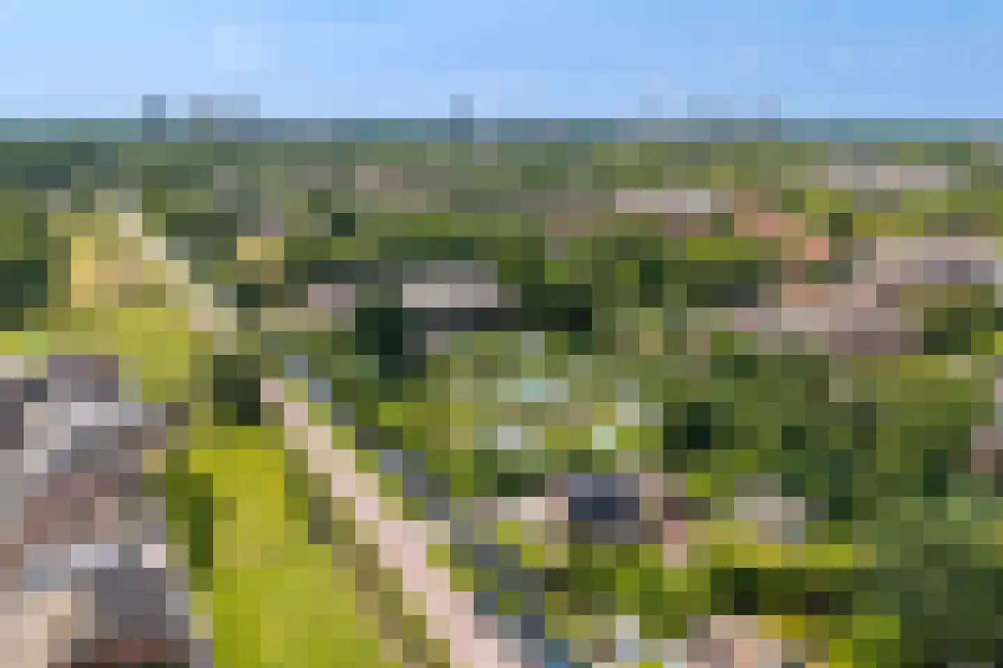 Zegwaartseweg 68 Zoetermeer thumbnail 66