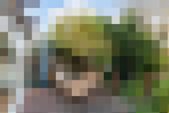 Zegwaartseweg 70 C Zoetermeer thumbnail 36